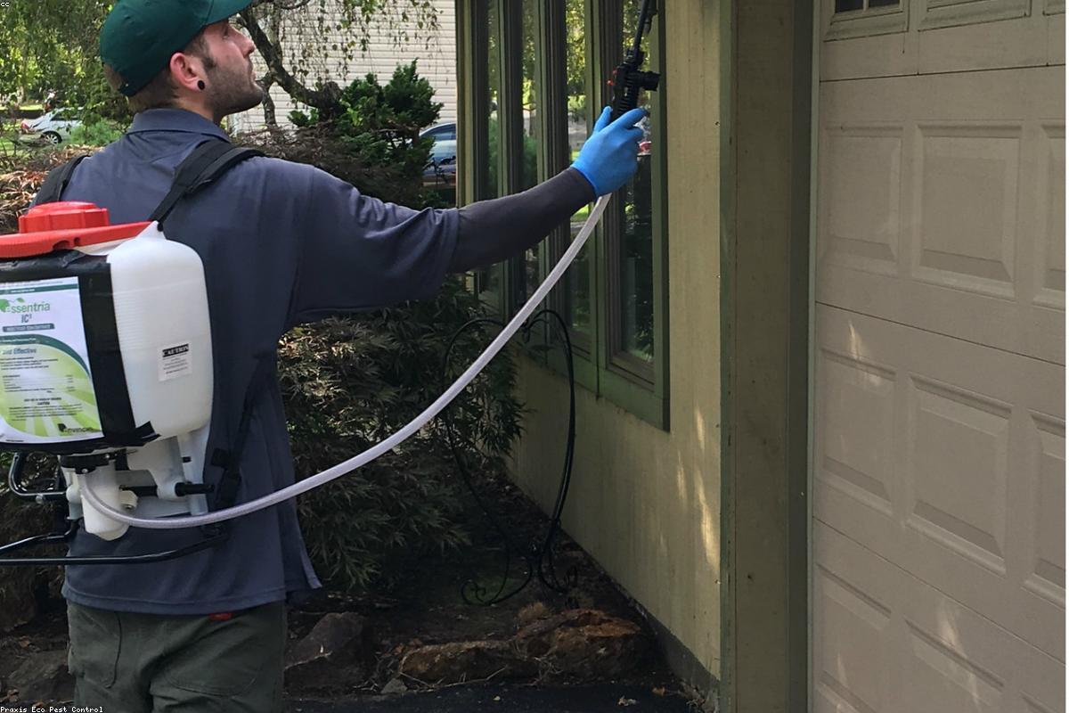 Pest-control technician treating the exterior of a home — stock image, illustrative only